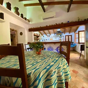 Puerto De Pollensa And Apartments, With Private Mountain Ideal For Runners, Trailers,near Approximately 5 Minutes Walking, Unique Experience In A Ullal Old Typical Mallorca House With Private Mountain And Near To The Beac Appartement